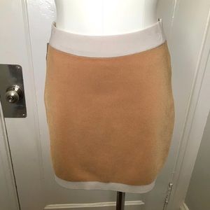 Aritzia's Babaton Legacy Bandage Mini Skirt